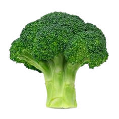 BROCOLI EXTRACT %0.5 SULFORAPHANE - 1