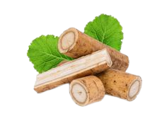 BURDOCK EXTRACT 10:1 - 1