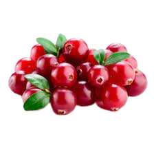 CRANBERRY EXTRACT %40 PROCYANIDINS - 1