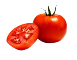 TOMATO EXTRACT %5 LYCOPENE - 1